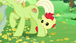 Size: 1280x720 | Tagged: safe, screencap, bright mac, granny smith, earth pony, pony, g4, season 7, the perfect pear, :o, baby, baby pony, brightabetes, colt, cute, female, male, mare, offscreen character, open mouth