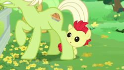 Size: 1280x720 | Tagged: safe, screencap, bright mac, granny smith, earth pony, pony, g4, season 7, the perfect pear, :o, baby, baby pony, brightabetes, colt, cute, female, male, mare, mother, offscreen character, open mouth, son, younger, younger male