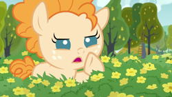 Size: 1280x720 | Tagged: safe, screencap, pear butter, earth pony, pony, g4, season 7, the perfect pear, baby, baby pony, female, filly, flower, food, open mouth, pear, solo, tree