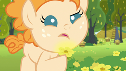 Size: 1280x720 | Tagged: safe, screencap, pear butter, earth pony, pony, g4, my little pony: friendship is magic, season 7, the perfect pear, baby, baby pony, female, filly, flower, food, open mouth, pear, solo, tree