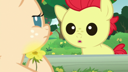 Size: 1280x720 | Tagged: safe, screencap, bright mac, pear butter, earth pony, pony, g4, season 7, the perfect pear, :o, baby, baby pony, brightabetes, colt, cute, female, fence, filly, flower, male, open mouth, tree