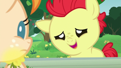 Size: 1280x720 | Tagged: safe, screencap, bright mac, pear butter, earth pony, pony, g4, season 7, the perfect pear, baby, baby pony, brightabetes, colt, cute, female, fence, filly, flower, looking at each other, male, open mouth, open smile, smiling