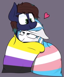 Size: 2331x2812 | Tagged: safe, artist:pinkberry, oc, oc only, oc:contrail skies, oc:slumber, pony, duo, floppy ears, heart, high res, hug, nonbinary pride flag, pride, pride flag, transgender pride flag