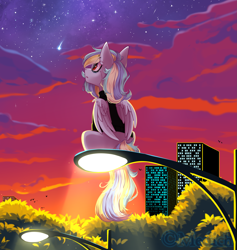 Size: 2767x2921 | Tagged: safe, artist:mediasmile666, oc, oc only, pegasus, pony, building, cloud, evening, female, high res, looking up, mare, night, night sky, shooting star, sitting, sky, solo, streetlight, tree