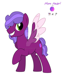 Size: 1280x1523 | Tagged: safe, artist:hate-love12, oc, oc only, oc:plum pearl, pegasus, pony, deviantart watermark, male, obtrusive watermark, simple background, solo, stallion, transparent background, two toned wings, watermark, wings