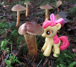 Size: 1280x1123 | Tagged: safe, artist:travelling-my-little-pony, apple bloom, earth pony, pony, g4, female, filly, fungus, irl, mushroom, photo, solo, toy