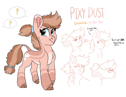 Size: 2220x1717 | Tagged: safe, artist:moccabliss, oc, oc only, oc:pixy dust, earth pony, pony, female, leonine tail, offspring, parent:clear sky, parent:quibble pants, parents:quibblesky, solo, teenager, transgender