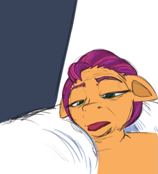 Size: 469x517 | Tagged: safe, artist:jargon scott, sunny starscout, earth pony, pony, g5, female, mare, meme, pillow, ponified meme, solo, waking up