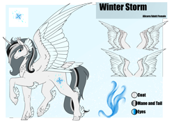 Size: 4961x3508 | Tagged: safe, artist:oneiria-fylakas, oc, oc only, oc:winter storm, alicorn, pony, female, mare, reference sheet, solo