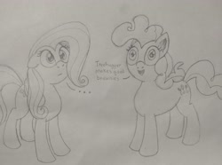 Size: 3573x2661 | Tagged: safe, artist:doodledonutart, fluttershy, pinkie pie, pony, g4, atg 2021, high res, implied drug use, implied tree hugger, monochrome, newbie artist training grounds, solo, traditional art