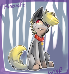 Size: 628x675 | Tagged: safe, artist:suplolnope, oc, oc only, hybrid, wolf, wolf pony, collar, fangs, looking up, minecraft, red eyes, sitting