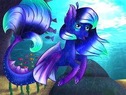 Size: 800x600 | Tagged: safe, artist:miracrystalsketch, oc, oc only, fish, merpony, pegasus, pony, seapony (g4), blue mane, blue tail, dorsal fin, ear fluff, eyelashes, female, fin wings, fins, flowing mane, flowing tail, looking at you, ocean, open mouth, rock, seaponified, seaweed, smiling, solo, species swap, sunlight, swimming, tail, underwater, water, wings