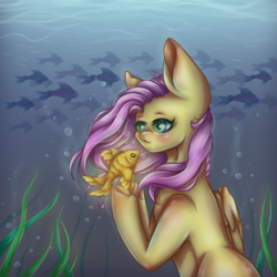 Size: 500x500 | Tagged: safe, artist:gbsal777, artist:saltyvity, fluttershy, fish, pegasus, pony, g4, blushing, bubble, crepuscular rays, eyelashes, female, flowing mane, folded wings, glowing, green eyes, looking at each other, ocean, pink mane, seaweed, solo, sunlight, swimming, underwater, water, watershy, wings
