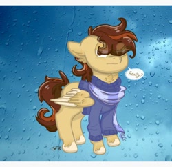 Size: 866x840 | Tagged: safe, artist:gravityfox10, oc, oc only, pegasus, pony, clothes, hair over eyes, pegasus oc, rain, scarf, talking, talking to viewer, two toned wings, unshorn fetlocks, wings