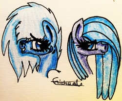 Size: 2402x2002 | Tagged: safe, artist:beamybutt, oc, oc only, earth pony, pony, bust, duo, earth pony oc, eyelashes, female, grin, high res, mare, signature, smiling, traditional art