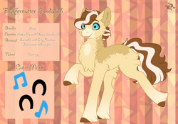 Size: 3500x2454 | Tagged: safe, artist:nobleclay, oc, oc only, oc:fluffernutter sandwich, earth pony, pony, chest fluff, coat markings, facial markings, high res, looking at you, male, markings, offspring, parent:cheese sandwich, parent:pinkie pie, parents:cheesepie, reference sheet, snip (coat marking), socks (coat markings), solo, stallion, unshorn fetlocks
