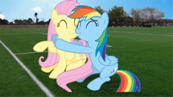 Size: 1366x768 | Tagged: safe, fluttershy, rainbow dash, pegasus, pony, g4, day, eyes closed, female, hug, mare, vector