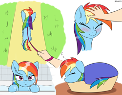 Size: 1900x1473 | Tagged: safe, artist:irisarco, rainbow dash, human, pegasus, pony, :3, :<, basket, bathroom, bathtub, blanket, blushing, cropped, cute, dashabetes, day, desk, dialogue, dock, ear fluff, eyes closed, feathered wings, female, floppy ears, frown, grass, head pat, human on pony petting, indoors, leash, lidded eyes, looking at you, lying down, offscreen character, onomatopoeia, outdoors, pat, path, pet bed, pet-dash, petting, pony pet, pov, sleeping, smiling, sound effects, tail, unamused, walking, water, watermark, wet, wings, zzz