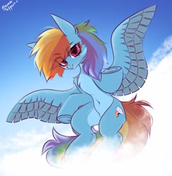 Size: 1000x1024 | Tagged: dead source, safe, artist:mysha, rainbow dash, pegasus, pony, g4, belly, belly button, chest fluff, cloud, facial markings, feathered wings, looking at you, pale belly, shoulder fluff, sky, solo, spread wings, underhoof, wings