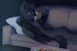 Size: 3000x1984 | Tagged: safe, artist:mediasmile666, oc, oc only, oc:max moore, pegasus, pony, couch, eating, food, male, movie night, pillow, pizza, solo, stallion