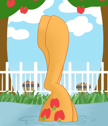Size: 1500x1750 | Tagged: safe, artist:cycrus, applejack, earth pony, pony, g4, apple, apple tree, bucket, female, fence, fetish, food, hoof fetish, legs, legs in air, mare, pictures of legs, solo, tree, water
