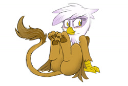 Size: 1280x859 | Tagged: safe, artist:pzkratzer, gilda, griffon, g4, blushing, butt, cute, gildonk, lying down, on back, paw pads, paws, plot, simple background, sketch, solo, underpaw, white background
