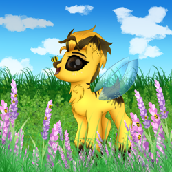 Size: 2000x2000 | Tagged: safe, artist:splashofsweet, oc, oc only, bee, bee pony, insect, original species, pony, female, field, flower, high res, meadow, scenery, solo