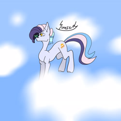 Size: 2048x2048 | Tagged: safe, artist:sunset_cake, oc, oc only, earth pony, pony, cloud, high res, solo