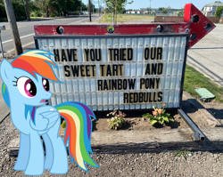 Size: 1897x1507 | Tagged: safe, rainbow dash, pony, g4, energy drink, implied murder, irl, photo, ponies in real life, red bull, sign