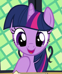 Size: 427x505 | Tagged: safe, screencap, twilight sparkle, alicorn, pony, g4, once upon a zeppelin, season 7, cropped, cute, female, hoof on chest, mare, open mouth, open smile, smiling, solo, twiabetes, twilight sparkle (alicorn), twilight's castle