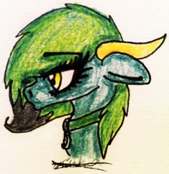 Size: 2215x2274 | Tagged: safe, artist:beamybutt, oc, oc only, earth pony, pony, bust, earth pony oc, eyelashes, female, high res, mare, signature, solo, traditional art