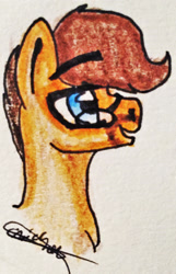 Size: 1543x2391 | Tagged: safe, artist:beamybutt, oc, oc only, earth pony, pony, earth pony oc, glasses, male, signature, solo, stallion, traditional art