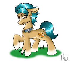 Size: 3671x3157 | Tagged: safe, artist:knicky-knack, hitch trailblazer, earth pony, pony, g5, blaze (coat marking), coat markings, facial markings, floppy ears, grass, high res, looking at you, male, pale belly, sash, signature, simple background, socks (coat markings), solo, stallion, white background