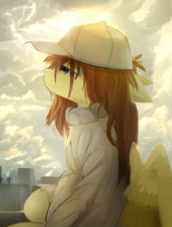 Size: 1900x2500 | Tagged: safe, artist:ssnerdy, oc, oc only, pegasus, pony, cap, city, clothes, floppy ears, hat, lidded eyes, sitting, sweater