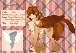 Size: 3500x2454 | Tagged: safe, artist:nobleclay, oc, oc only, oc:funnel cake, pegasus, pony, feathered fetlocks, high res, male, offspring, parent:cheese sandwich, parent:pinkie pie, parents:cheesepie, reference sheet, solo, stallion