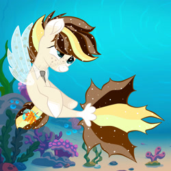 Size: 2000x2000 | Tagged: safe, artist:cosmiceuphoria, oc, oc only, pegasus, pony, seapony (g4), blue eyes, clothes, coral, crepuscular rays, dorsal fin, fin wings, fish tail, freckles, high res, ocean, seaponified, seaweed, see-through, smiling, solo, species swap, tail, underwater, water, wings