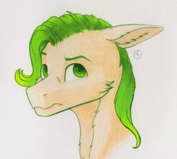 Size: 2664x2385 | Tagged: safe, artist:klarapl, oc, oc only, oc:lodvik, pony, bust, floppy ears, high res, looking at you, portrait, solo, traditional art