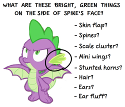 Size: 1156x990 | Tagged: artist needed, safe, edit, edited screencap, screencap, spike, dragon, g4, molt down, background removed, male, not a vector, question, simple background, solo, text, white background, winged spike, wings