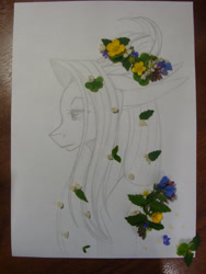 Size: 2448x3264 | Tagged: safe, artist:shkura2011, oc, oc only, pony, bust, female, flower, high res, horns, mare, portrait, sketch, solo, traditional art