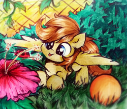 Size: 2846x2434 | Tagged: safe, artist:liaaqila, oc, oc only, oc:buttercup, insect, ladybug, pegasus, pony, cute, high res, solo, tongue out, traditional art
