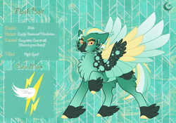 Size: 3500x2454 | Tagged: safe, artist:nobleclay, pegasus, pony, colored wings, feathered fetlocks, high res, magical gay spawn, male, multicolored wings, offspring, parent:thunderlane, parent:zephyr breeze, parents:zephyrlane, reference sheet, solo, stallion, wings