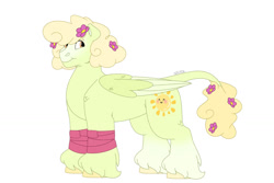 Size: 1280x854 | Tagged: safe, artist:itstechtock, oc, oc only, oc:sunshine, pegasus, pony, colored wings, curly hair, female, flower, flower in hair, leonine tail, mare, multicolored wings, offspring, parent:mountain haze, parent:whoa nelly, parents:mountainnelly, simple background, solo, unshorn fetlocks, white background, wings