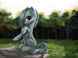 Size: 3000x2250 | Tagged: safe, artist:flusanix, marble pie, earth pony, pony, g4, clearing, female, forest, high res, lidded eyes, looking at you, mare, outdoors, profile, raised hoof, sitting, smiling, solo, stone