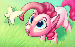 Size: 3700x2300 | Tagged: safe, artist:silverhopexiii, pinkie pie, butterfly, earth pony, pony, g4, cute, diapinkes, female, high res, looking at something, mare, open mouth, overhead view, solo