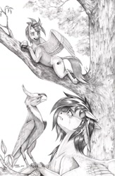 Size: 950x1461 | Tagged: safe, artist:baron engel, oc, oc:iridescent, oc:sky shatter, pegasus, phoenix, pony, crying, duo, female, looking down, looking up, lying down, male, mare, monochrome, pencil drawing, stallion, traditional art, tree, wings