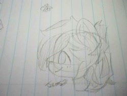 Size: 1024x768 | Tagged: safe, artist:chyoatas, oc, oc only, earth pony, pony, bust, earth pony oc, lineart, lined paper, smiling, solo, traditional art
