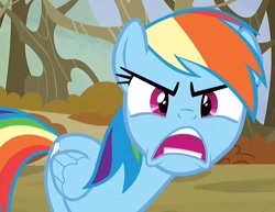 Size: 814x630 | Tagged: safe, edit, edited screencap, screencap, rainbow dash, pegasus, pony, g4, season 5, tanks for the memories, angry, cropped, female, looking at you, mare, open mouth, ragebow dash, rainbow dash is best facemaker, solo, teeth