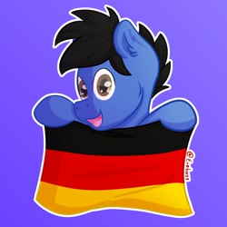 Size: 1800x1800 | Tagged: safe, artist:exobass, oc, oc only, pony, flag, germany, looking at you, open mouth, smiling