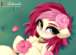 Size: 2800x2000 | Tagged: safe, artist:xsatanielx, roseluck, earth pony, pony, g4, blushing, chest fluff, collar, cute, ear fluff, female, floppy ears, flower, high res, looking at you, lying down, mare, on back, pet tag, pony pet, rosabetes, rose, rosepet, solo