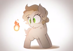 Size: 2048x1446 | Tagged: safe, artist:mochi_nation, oc, oc only, oc:flame cookies, earth pony, pony, earth pony oc, female, fire, mare, pyrokinesis, solo